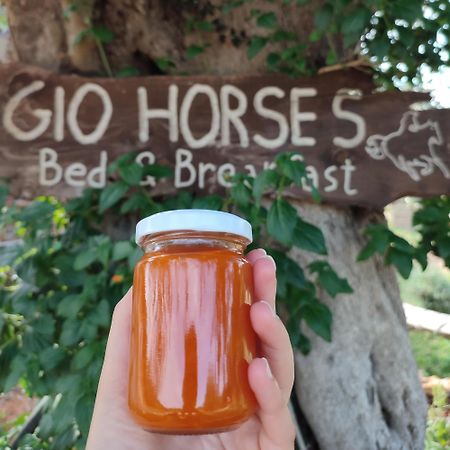 Gio Horses B&B Санникандро-Гарганико Экстерьер фото
