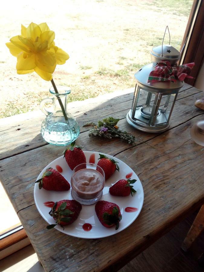 Gio Horses B&B Санникандро-Гарганико Экстерьер фото